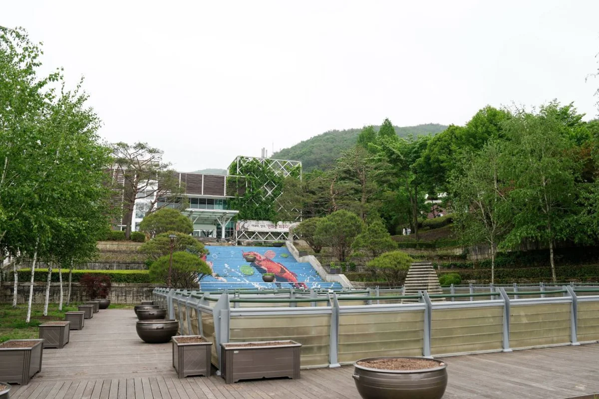 단양 구경시장 - 충북여행 여행