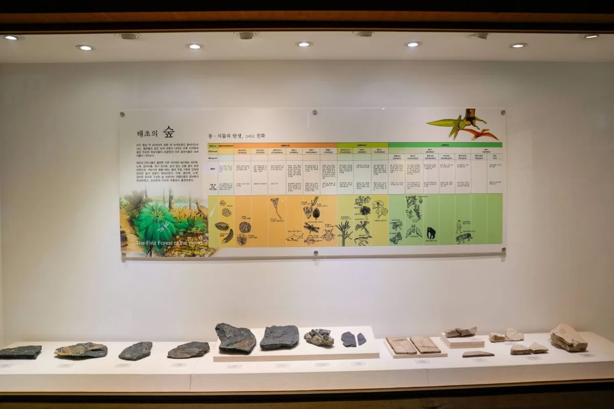 보은 전통시장 - 충북여행 여행