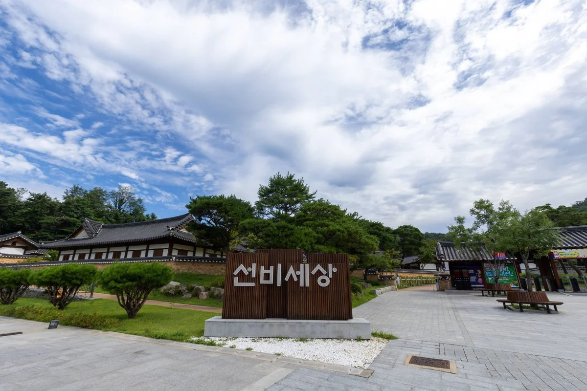 선비세상: 아이와 함께 즐기는 영주시 놀거리 - 영주여행 여행