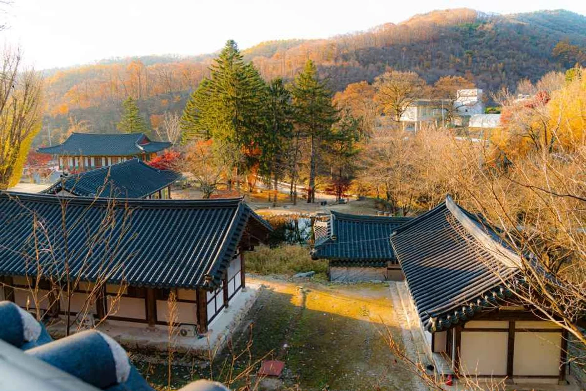 남양주시립박물관 - 남양주시 여행