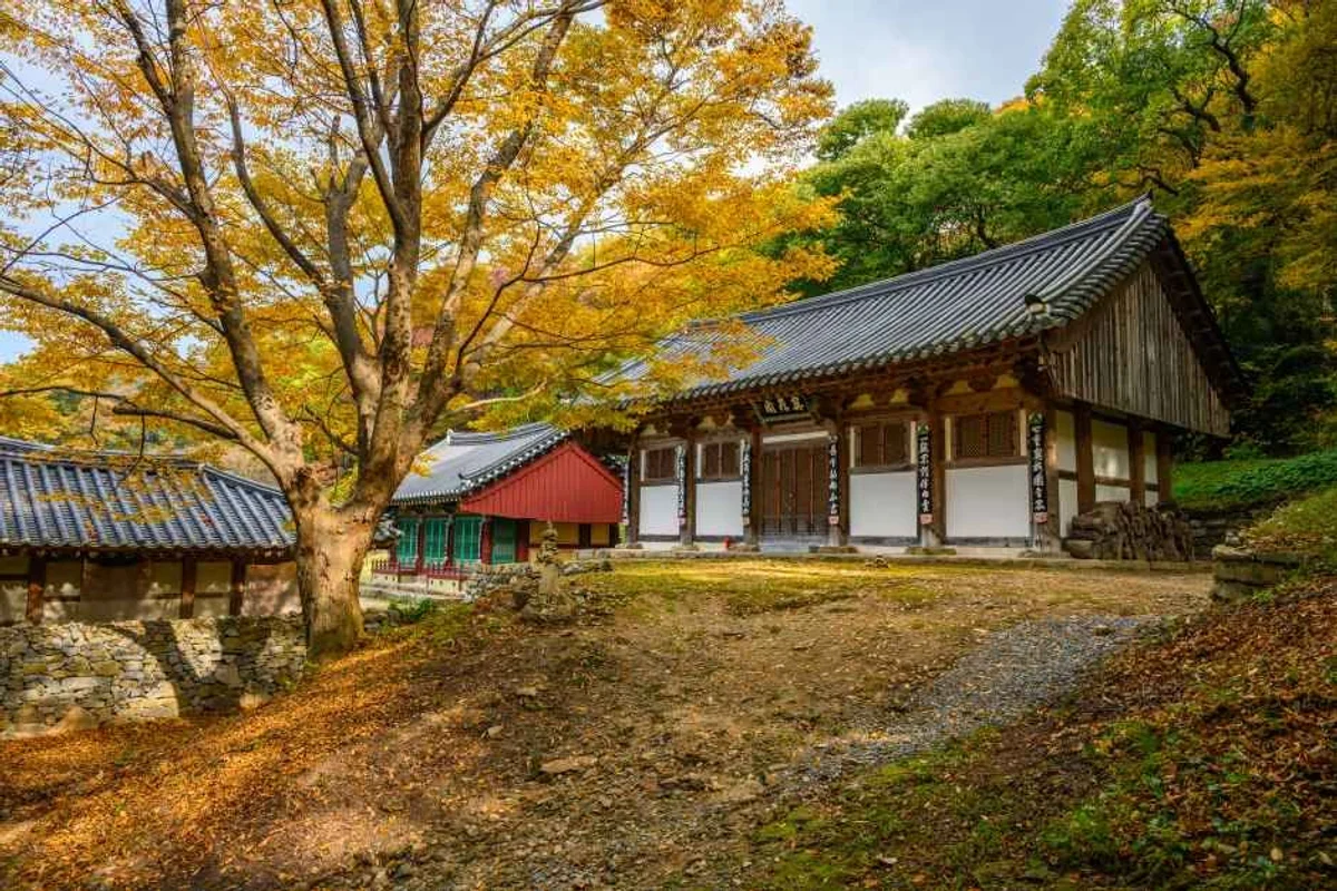 개심사 - 서산여행 여행