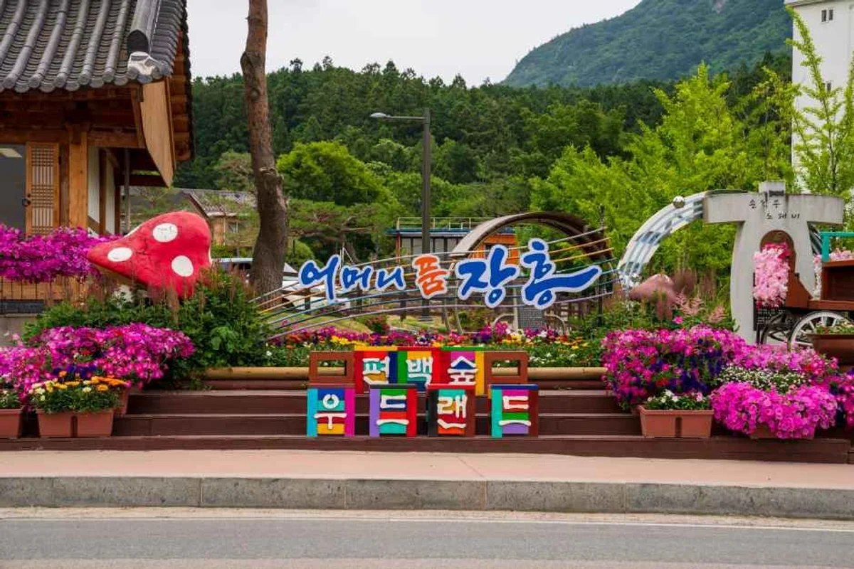 정남진 편백숲 우드랜드 - 장흥 여행