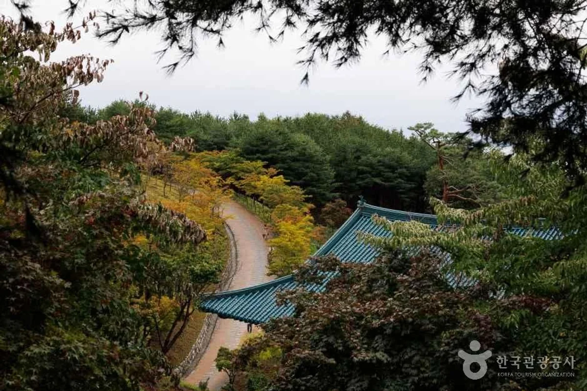 숲같이: 도심 속 체험의 숲 - 낙산가족나들이 여행