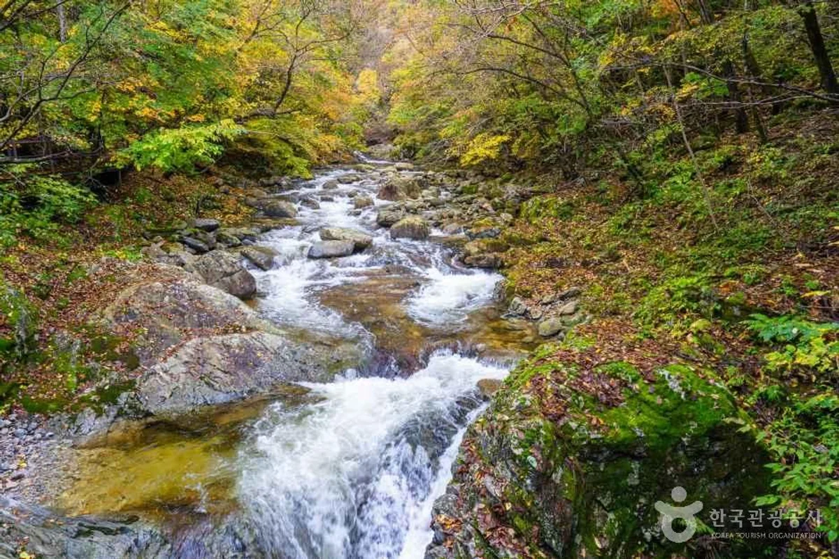 오대산 자연명상마을 옴뷔 - 오대산 여행