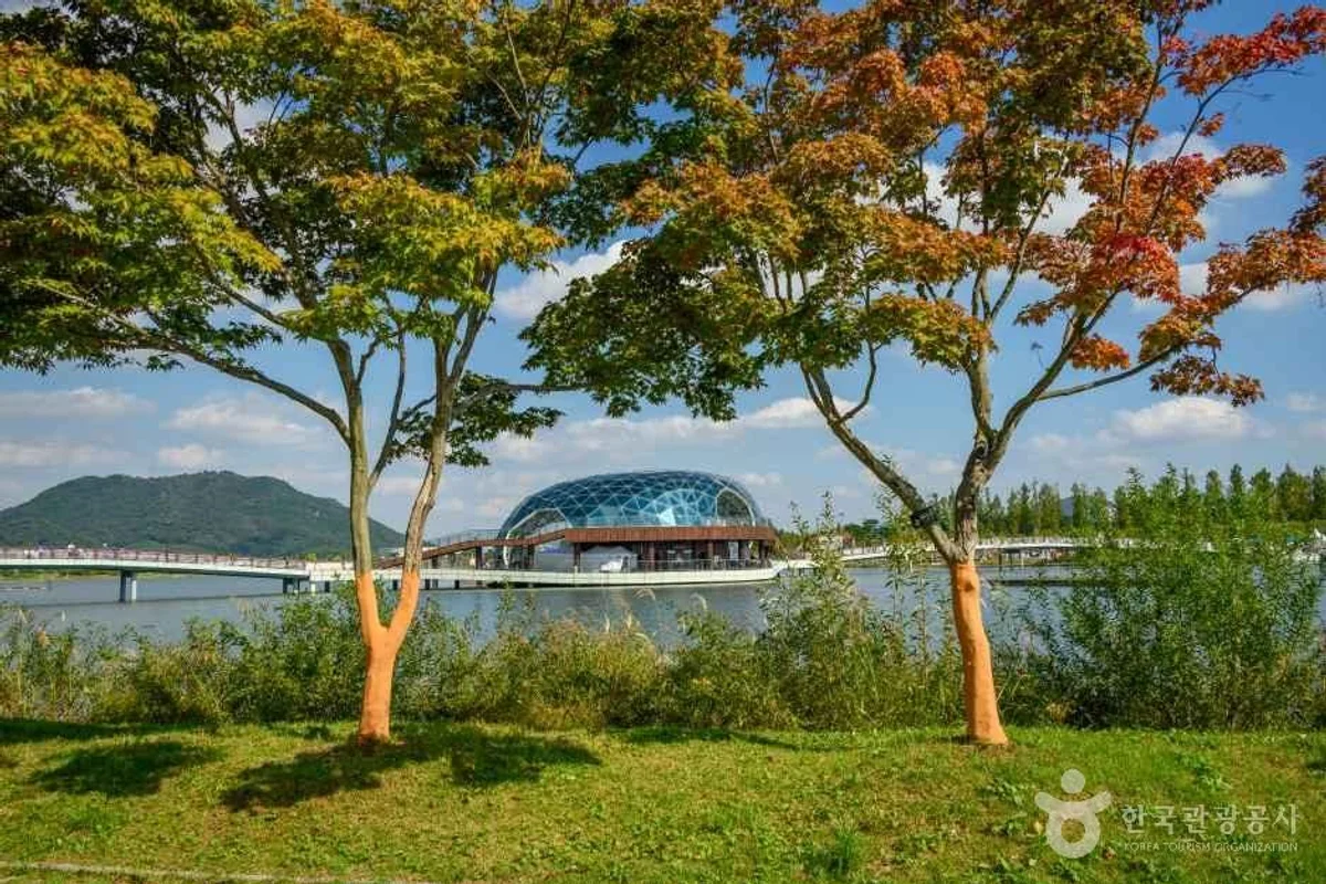 여수밤바다 공연 (출처 : 한국관광공사)