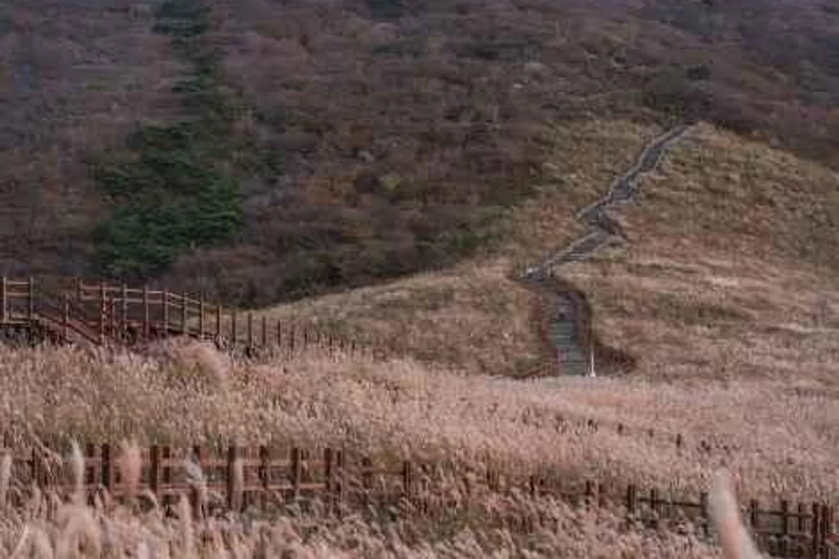 울산대공원 - 울산여행 여행