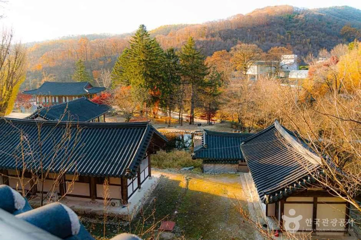 헤세의 정원 HESSE GARDEN - 양주시 여행