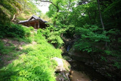 계룡 1박2일 놓치면 후회할 6곳, 2026년 여름 여행 코스 완벽 정리