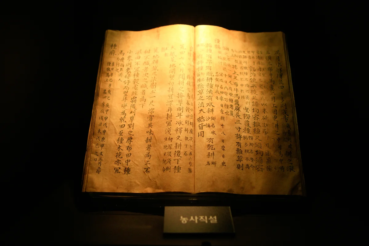 사직 낚시 (출처 : 한국관광공사)