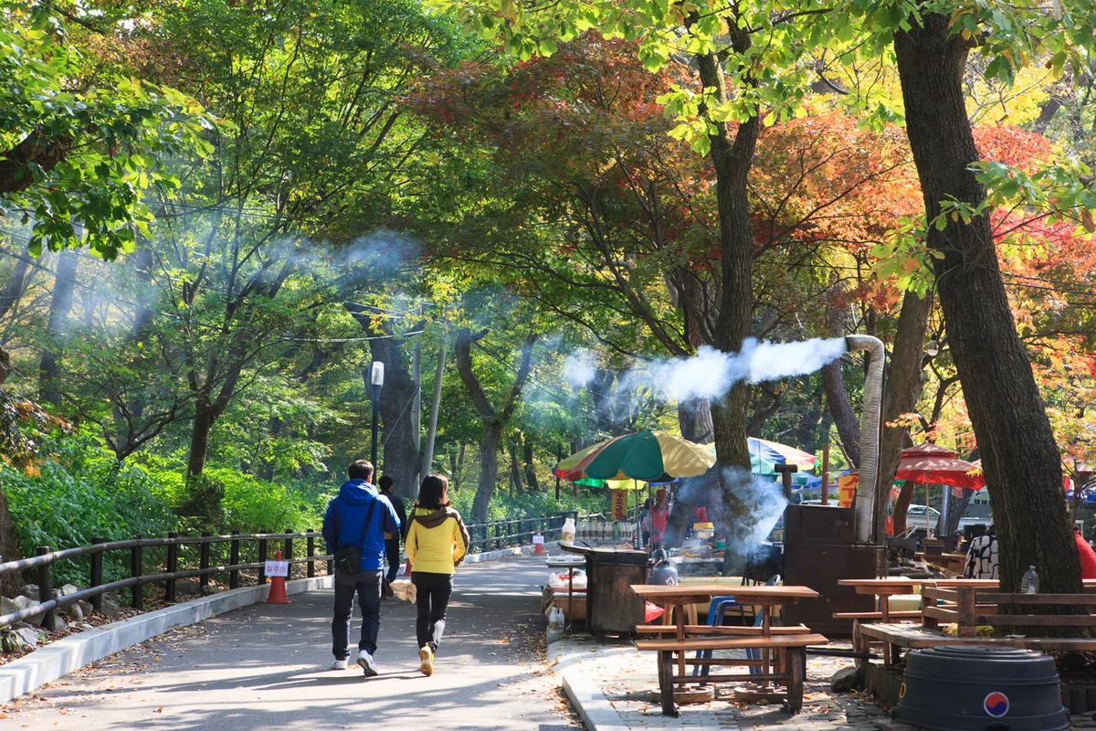 금당산 산책로 - 광주시 등산 여행