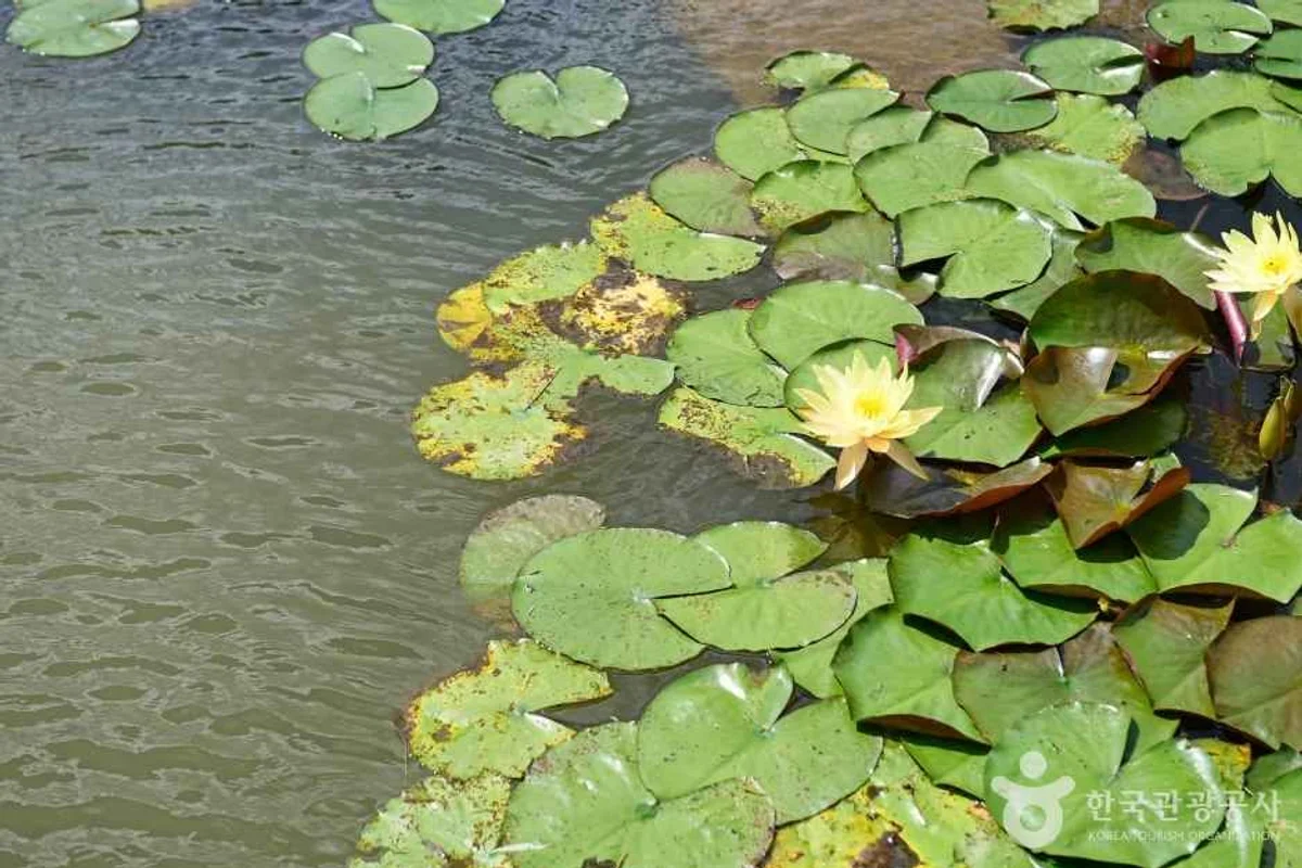 해운대수목원 - 부산여행 여행