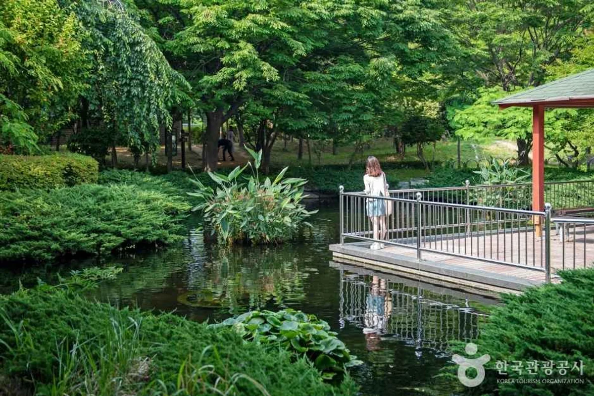 부산 해운대 - 에어부산 여행