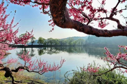 2026 경산시 혼행 완벽 가이드, 혼자 떠나는 여름 감성 여행 6곳