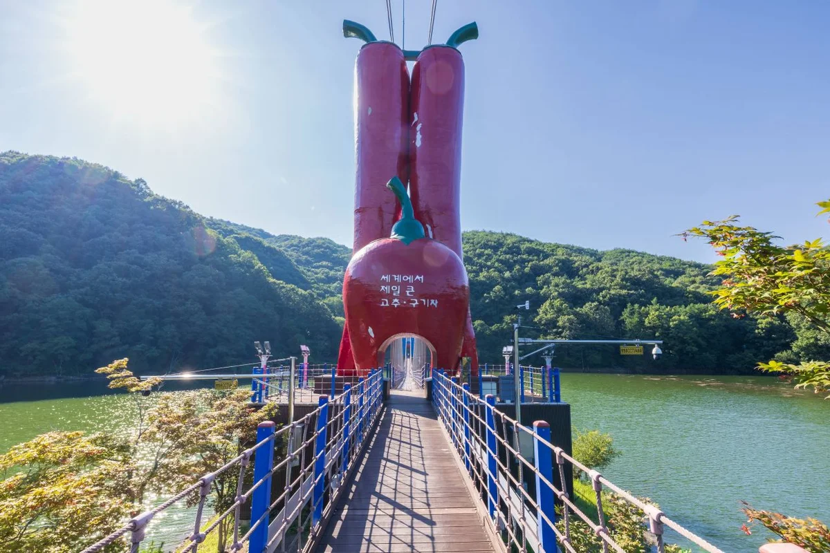 천장호출렁다리 - 청양군 여행