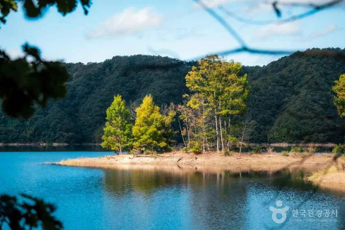 횡성 반려견 동반 (출처 : 한국관광공사)