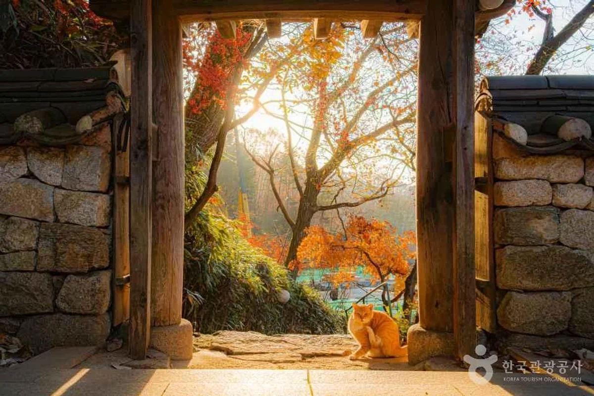 고양 숨은 명소: 숨은벽능선 - 고양여행 여행