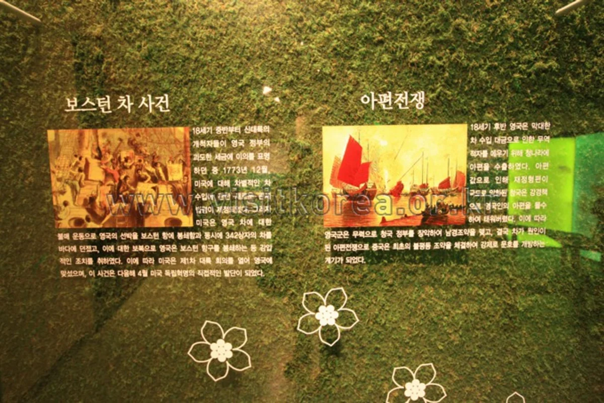 한국차박물관 - 보성녹차밭 여행