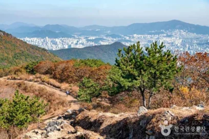 부산진구 친구와 여행 2026년 여름 알차게 즐기는 명소 5곳