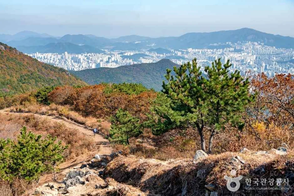 부산진구 친구와 여행 (출처 : 한국관광공사)