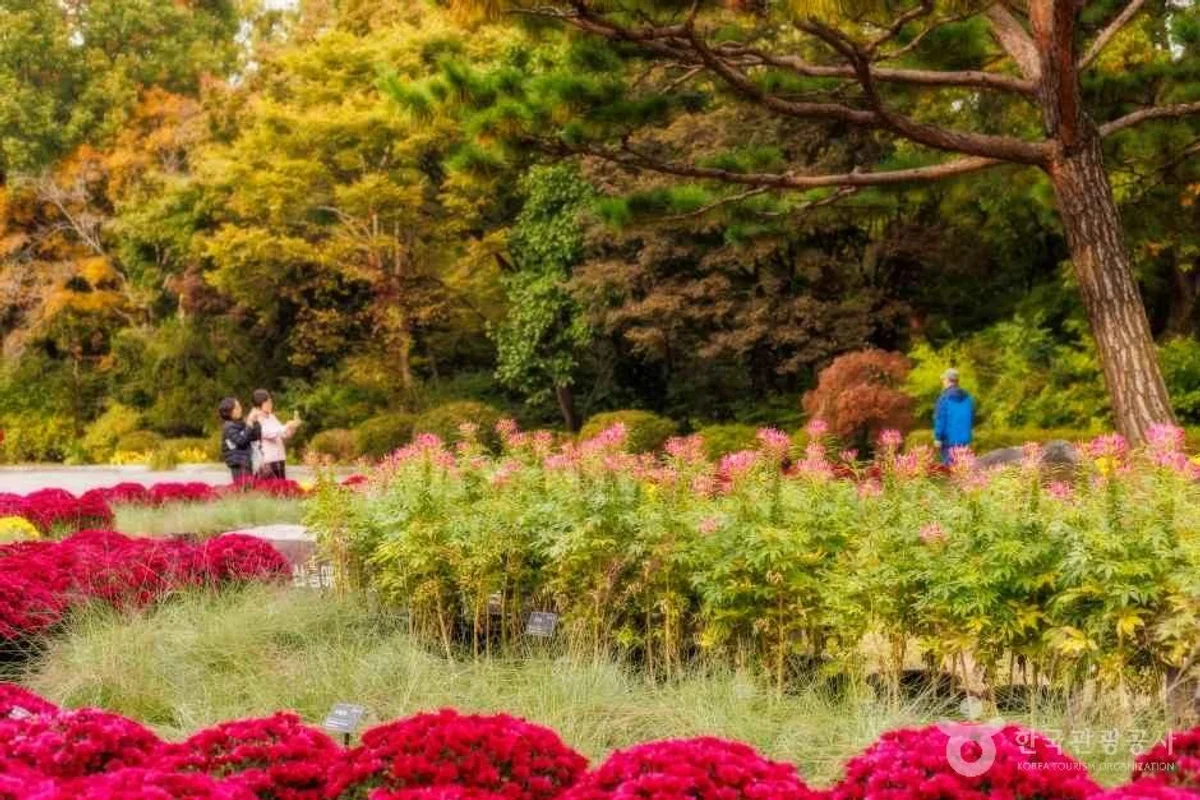 물향기수목원 - 오산여행 여행