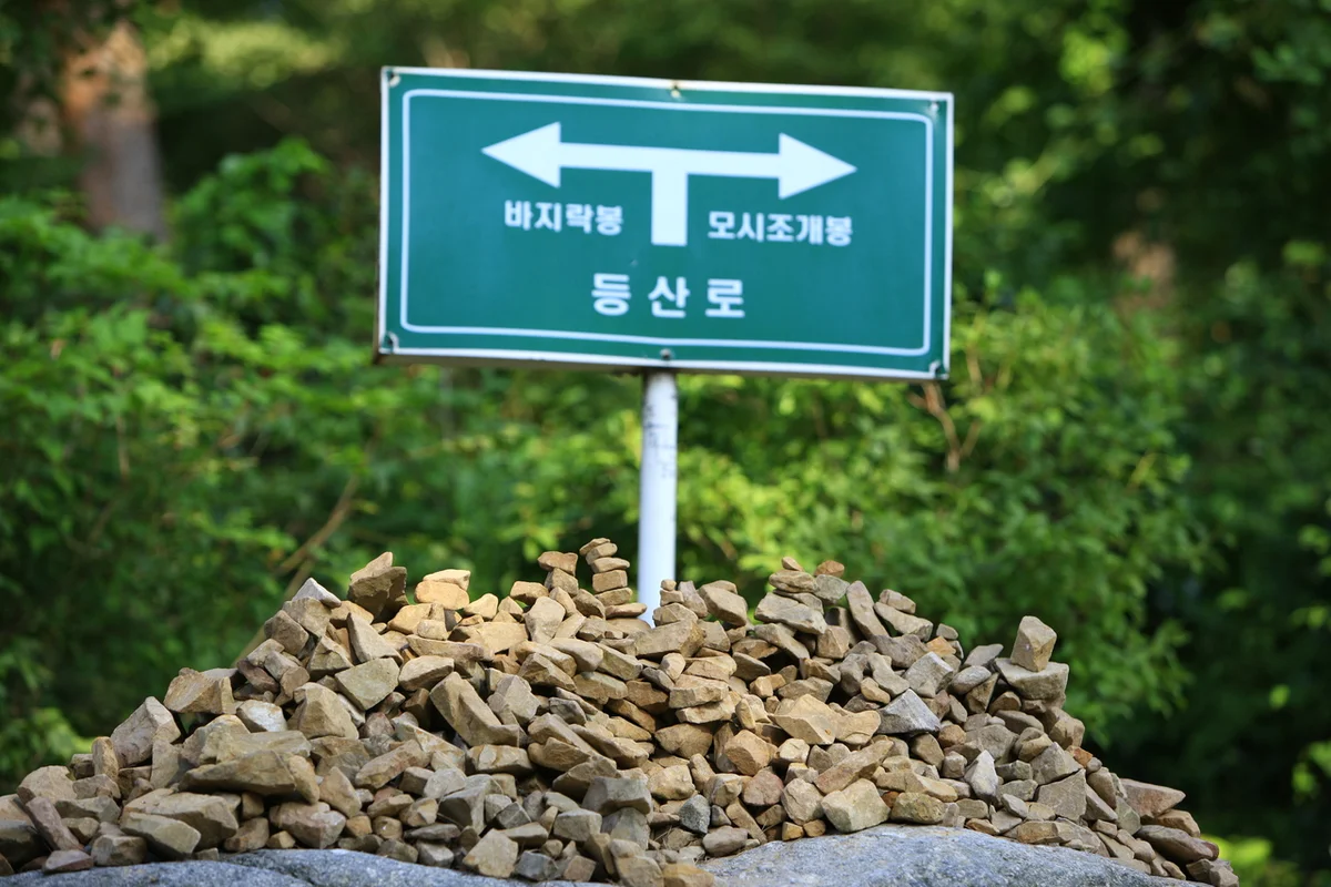 안면도자연휴양림 - 안면도 여행지 여행