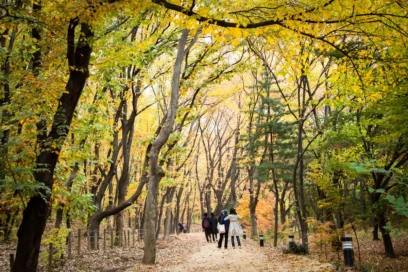 선릉 혼자 여행 추천 5곳: 2026년 여름 방문 가이드