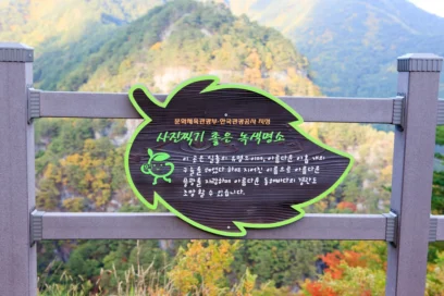 울진 박물관 BEST 5 여행지 추천 및 2026 방문 가이드