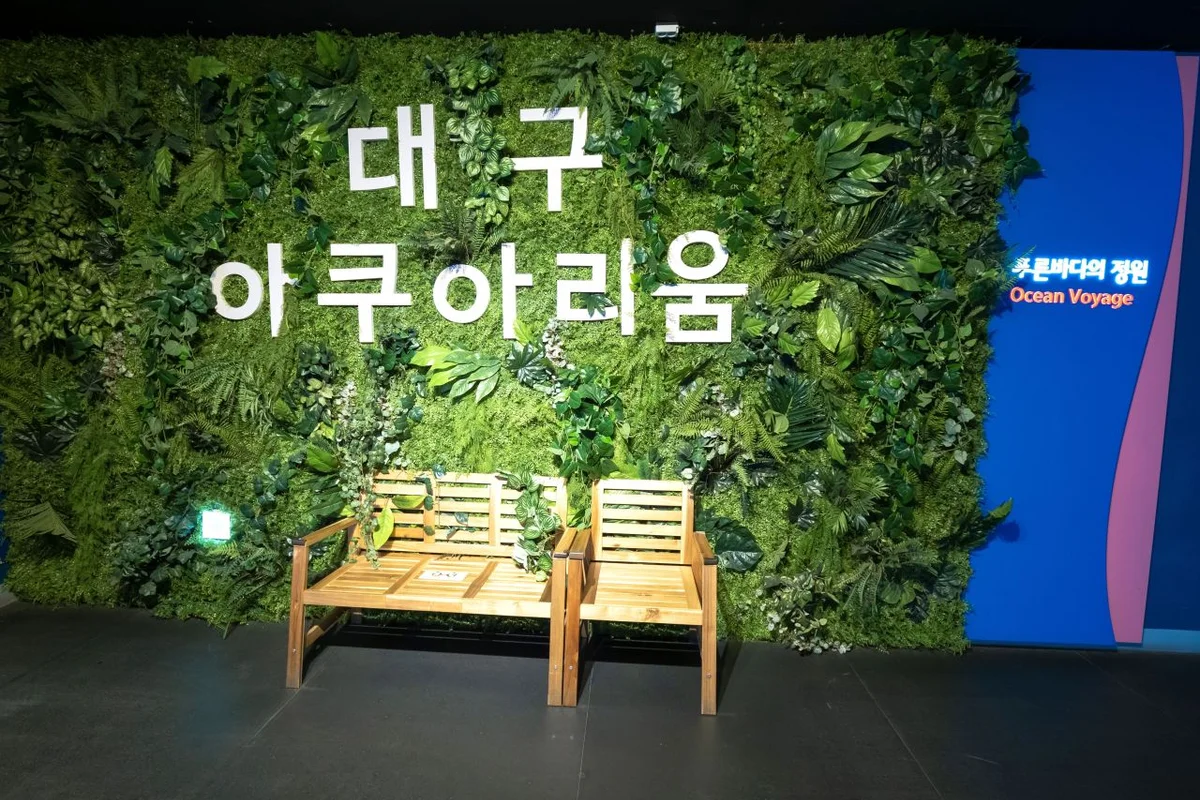 대구아쿠아리움 - 대구 가족여행 여행