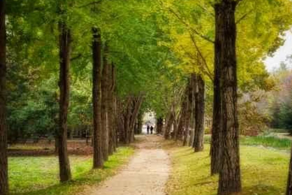 물향기수목원 - 오산시 호텔 여행