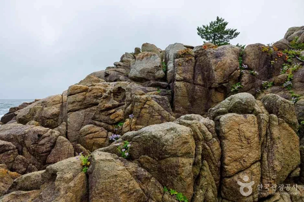 고성 펜션 (출처 : 한국관광공사)
