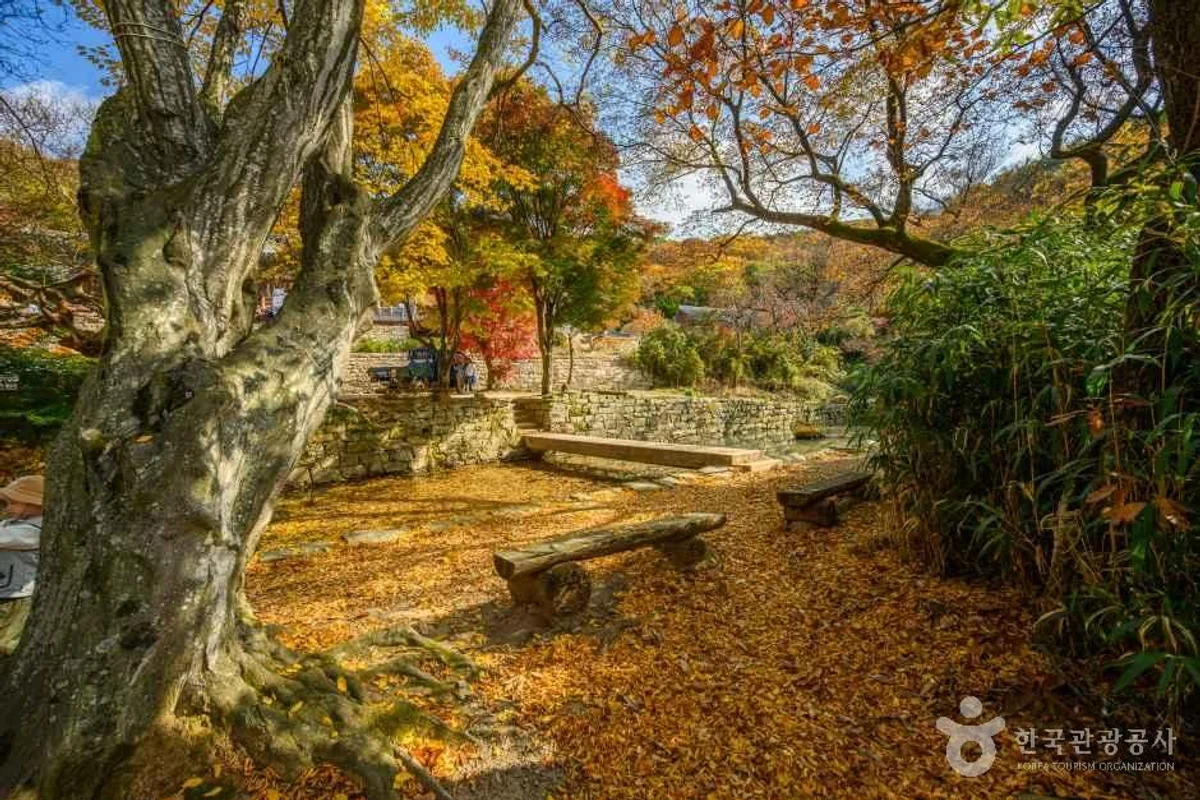 서산시 풀빌라 (출처 : 한국관광공사)
