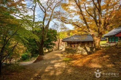 서산시 친구와 여행 코스 추천 5곳