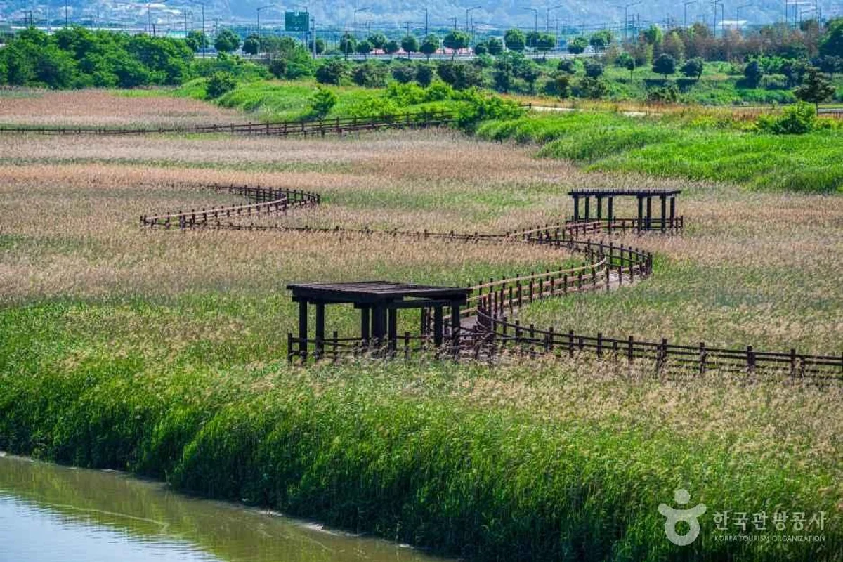 강진 산책로 (출처 : 한국관광공사)