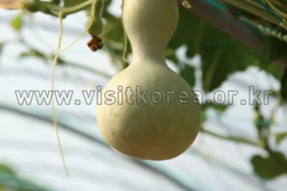 함평군 주말여행 추천 6곳 — 2026 최신판