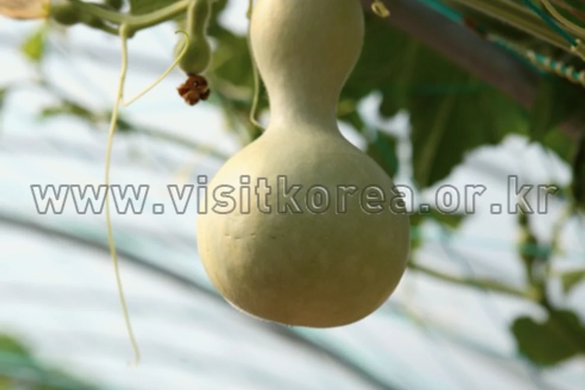 함평군 주말여행 (출처 : 한국관광공사)