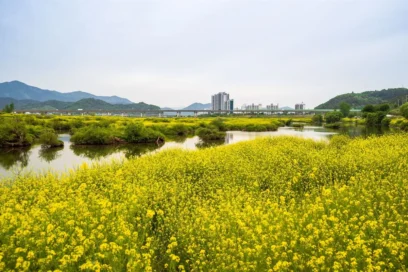남포동 등산 코스 추천 BEST 5 — 2026 최신판