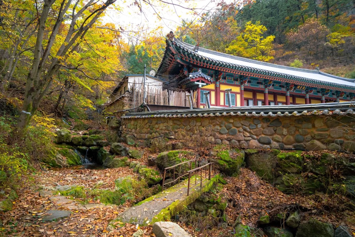 남구 단풍 명소 (출처 : 한국관광공사)