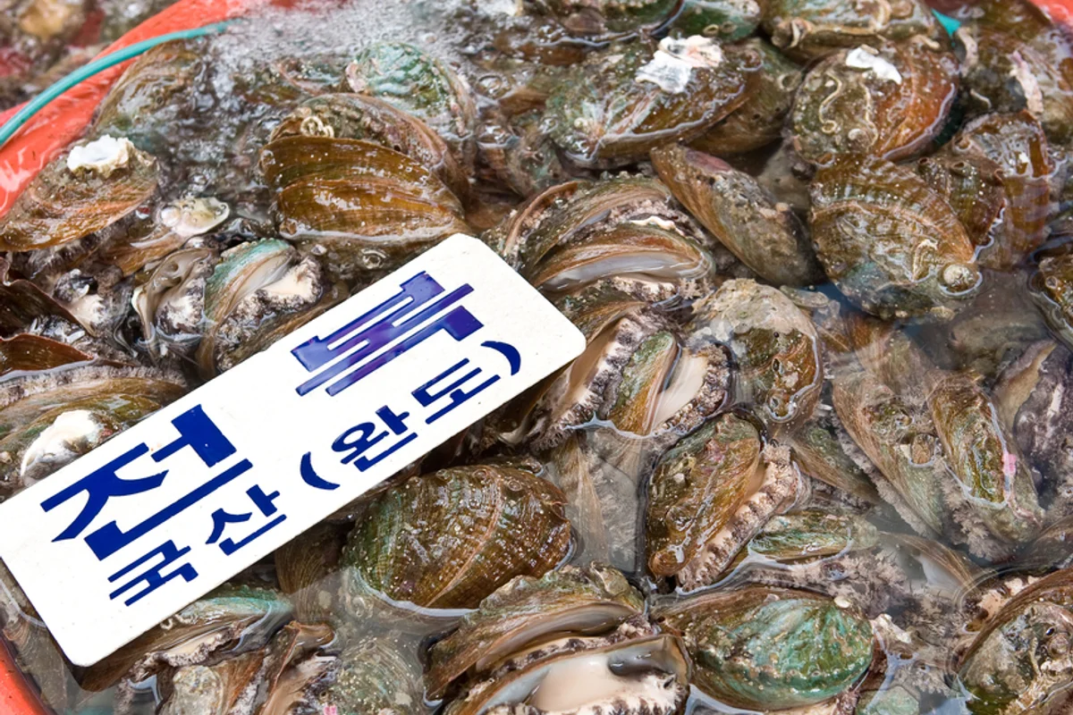 창원시 근교여행 (출처 : 한국관광공사)