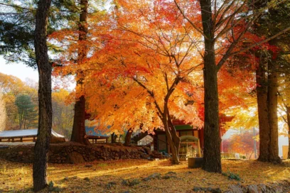 양주 당일치기 계획 중이라면 주목해야 할 명소 6곳
